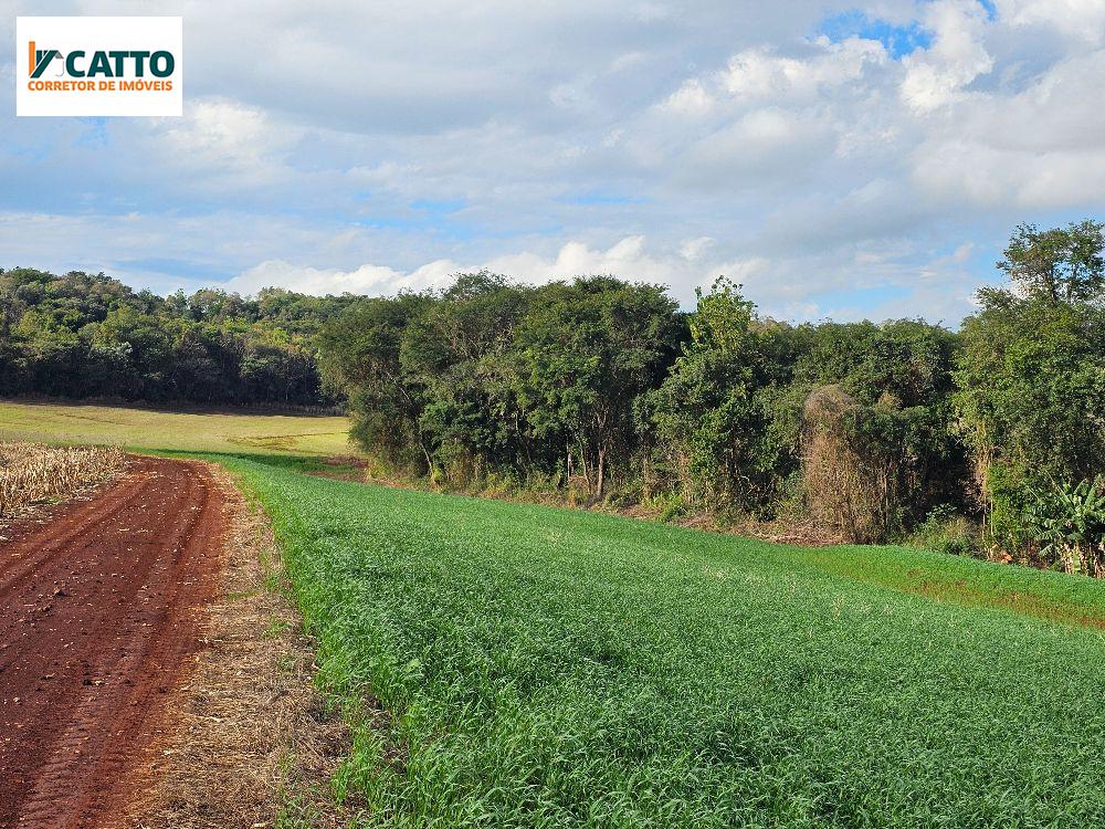 J Catto Imveis em Santa Izabel do Oeste PR