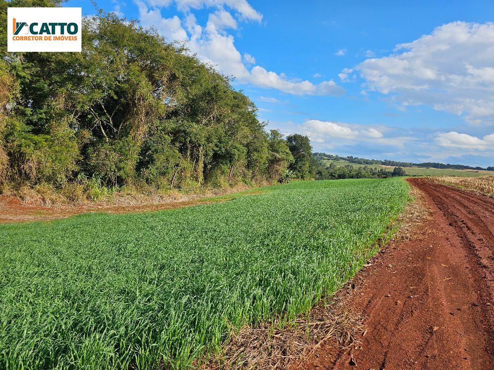 J Catto Imveis em Santa Izabel do Oeste PR