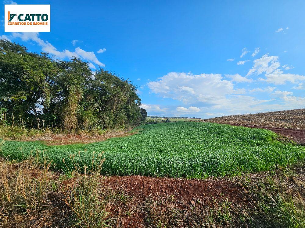 J Catto Imveis em Santa Izabel do Oeste PR