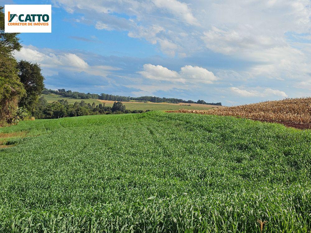 J Catto Imveis em Santa Izabel do Oeste PR