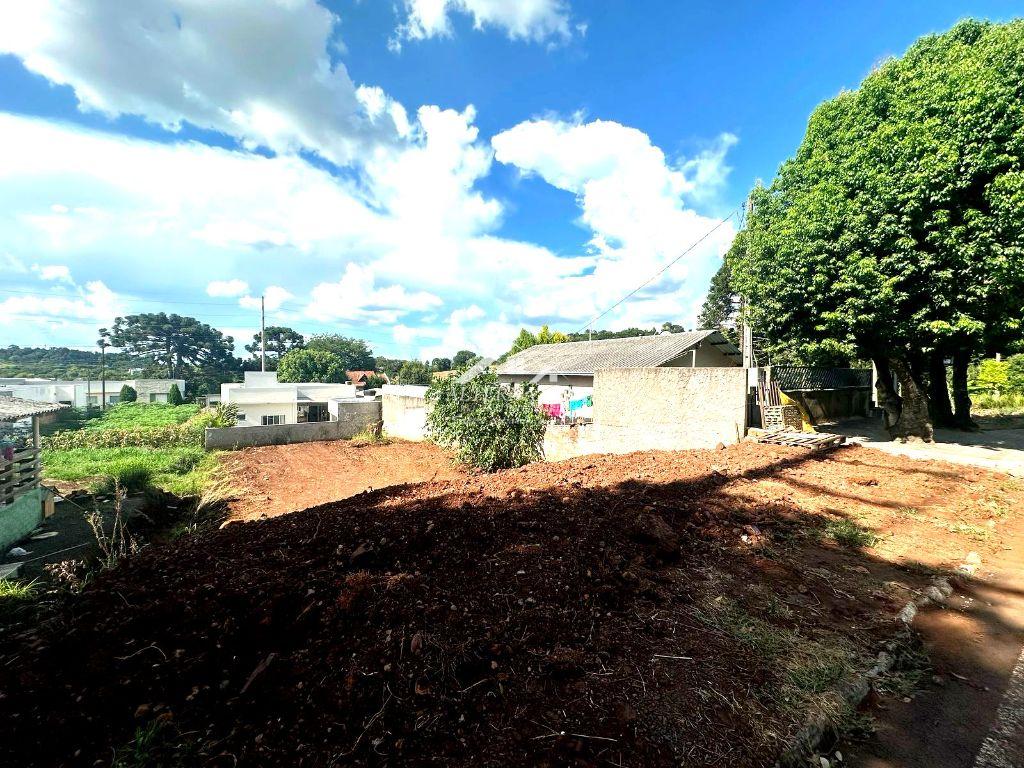 Alternativa Imveis - Imobiliria em Francisco Beltro PR