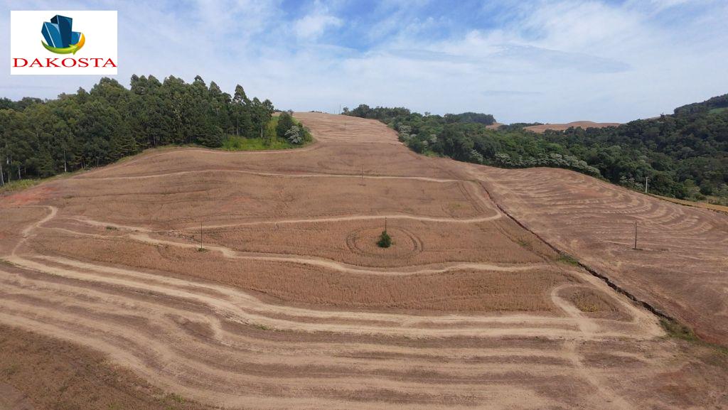 51 Alqueires plantando soja a vrios anos em 31 Alqueires 