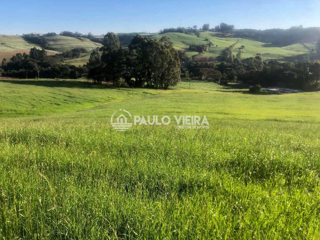 9 ALQUEIRES TERRA PARA AGRICULTURA