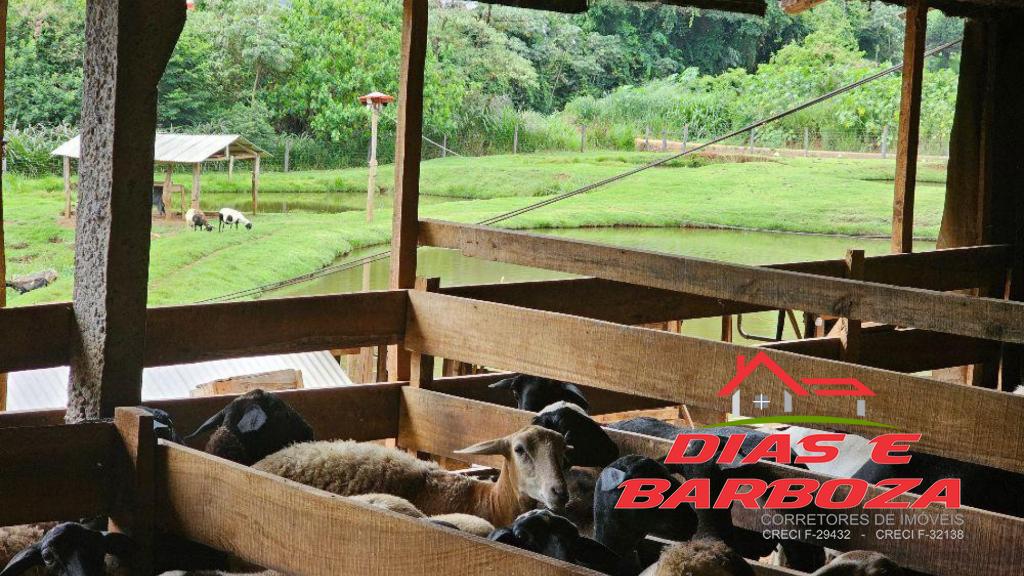 Dias e Barboza Corretores de Imveis em Ampre PR