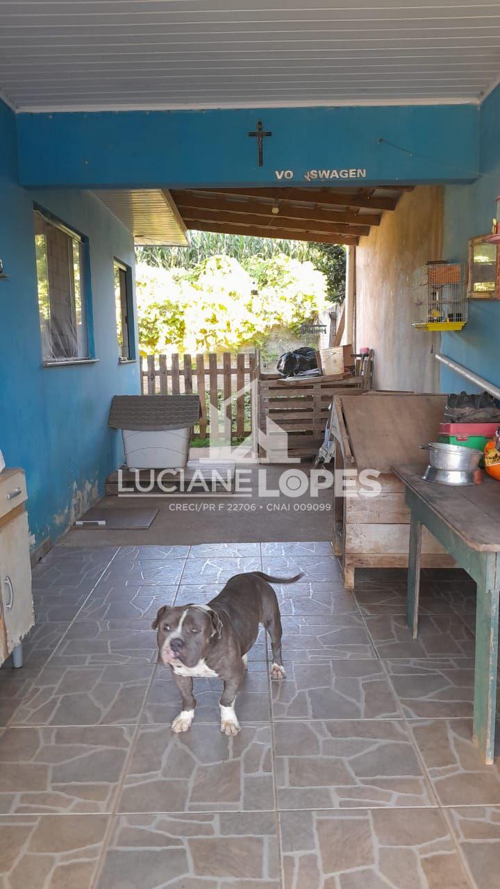 Luciane Lopes Corretora em Castro - PR