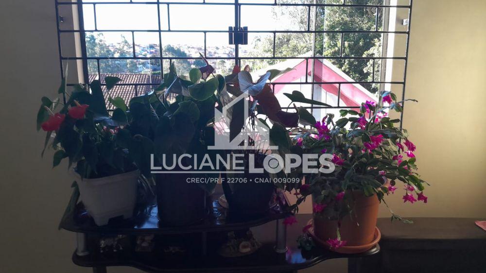 Luciane Lopes Corretora em Castro - PR