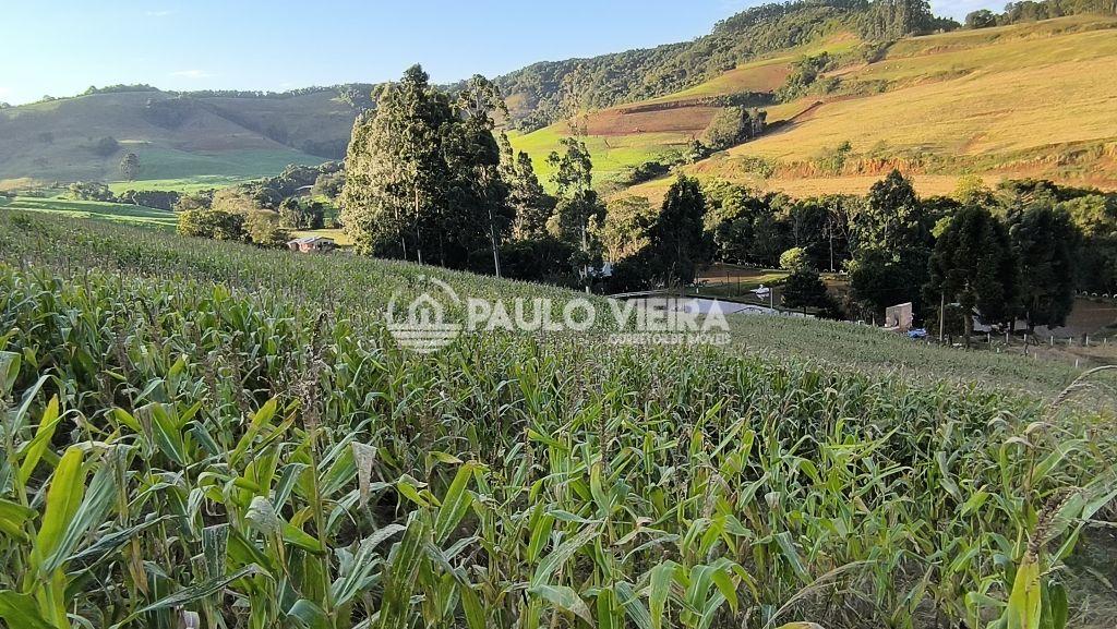 9 ALQUEIRES TERRAS ENTRE JUPI? E S?O LOUREN?O DO OESTE