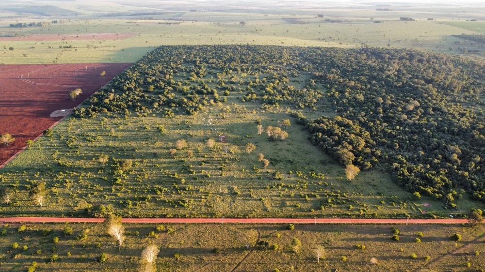 Área Rural para Venda em Jateí / MS no bairro Rural