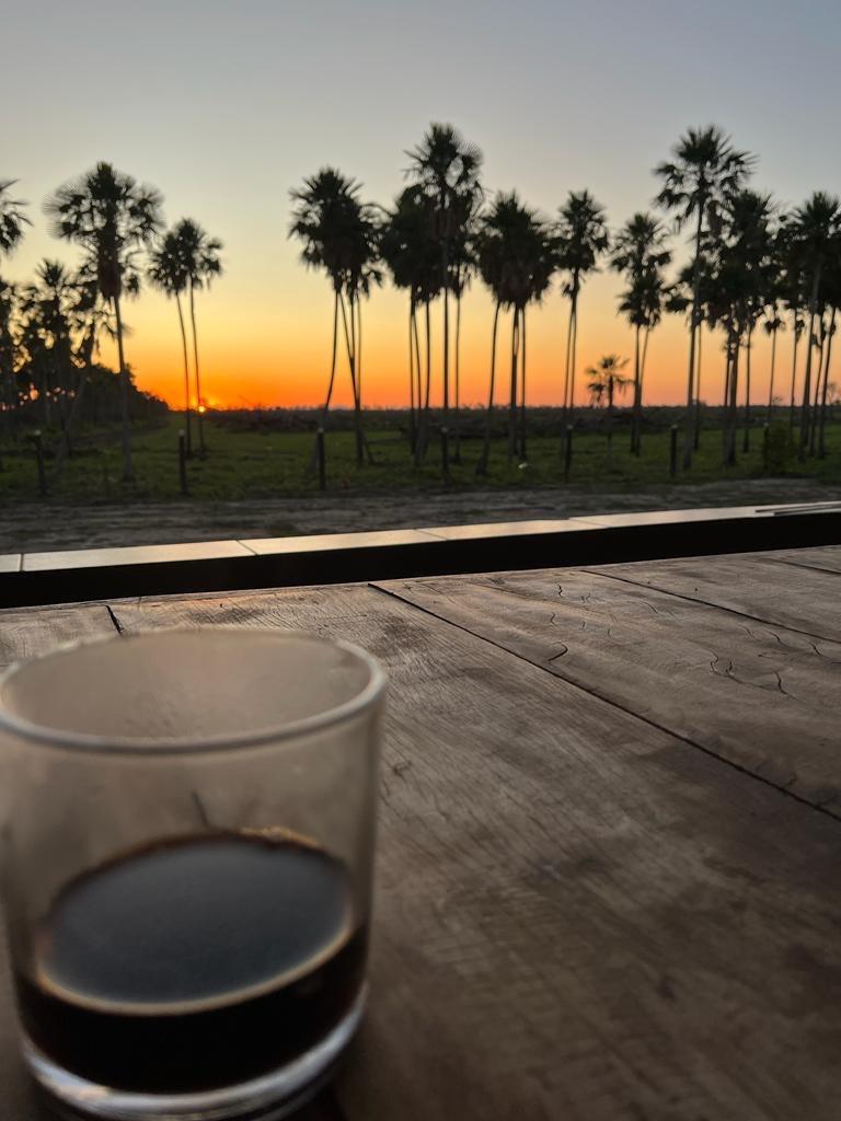 Fazenda a venda de 1018 hectares em Porto Murtinho