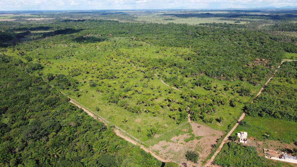 Fazenda de 530 hectares em Alto Alegre