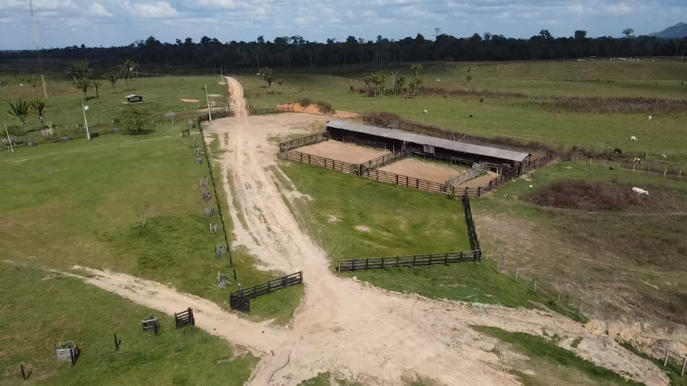 Fazenda a venda em Roraima 1510 hectares