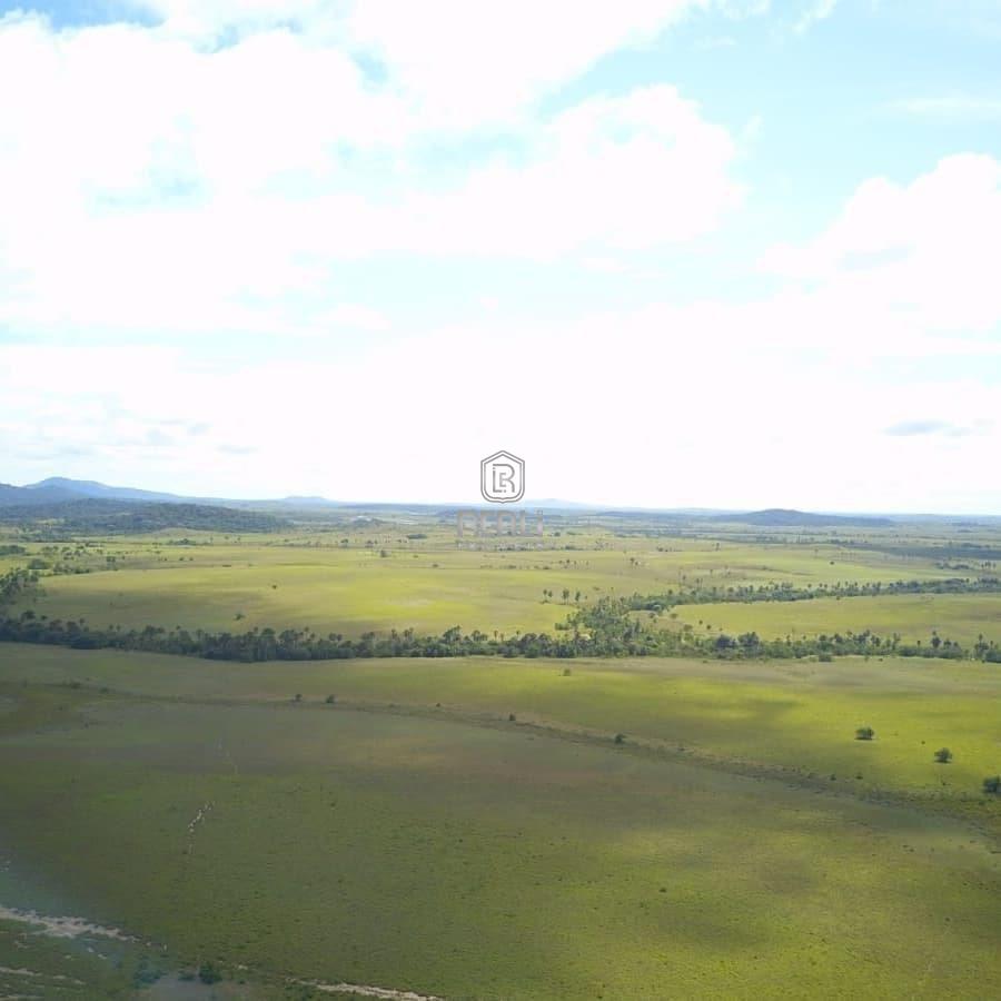 Fazenda em Roraima 1460 hectares