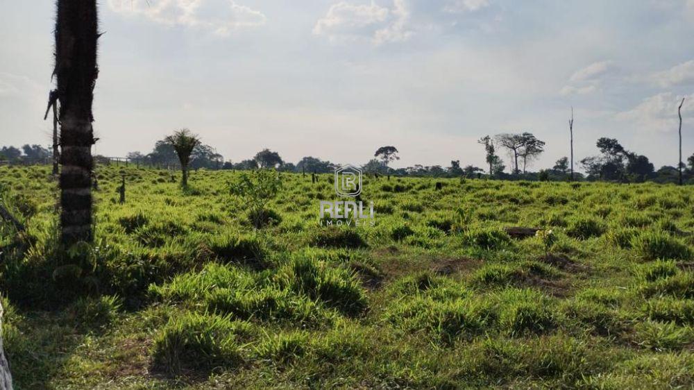 Fazenda em Roraima a venda 120 hectares