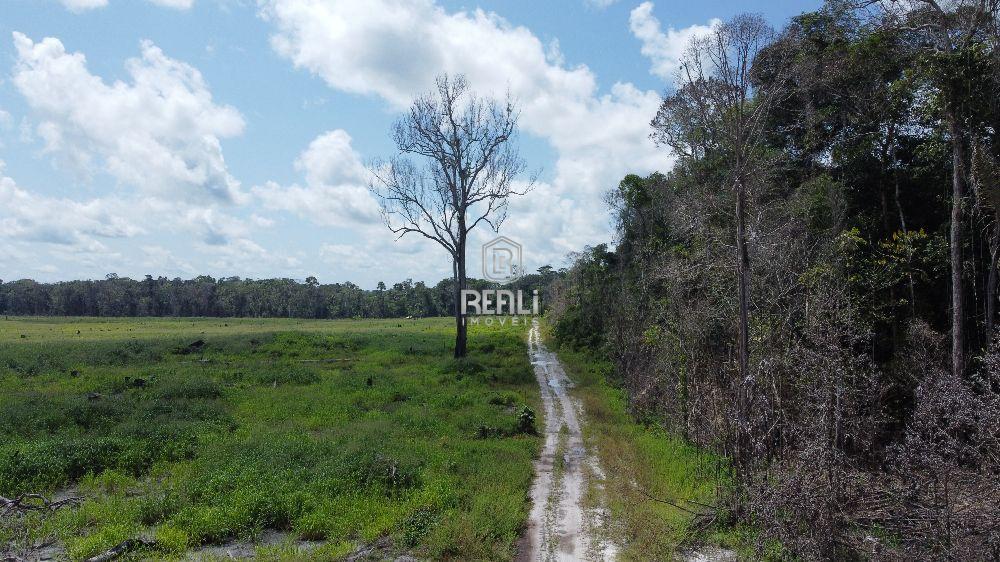 Fazenda em Roraima a venda 10 mil hectares