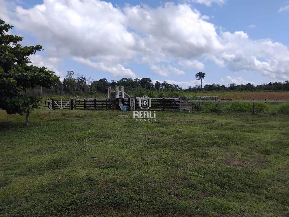 Fazenda em Roraima de 377 hectares