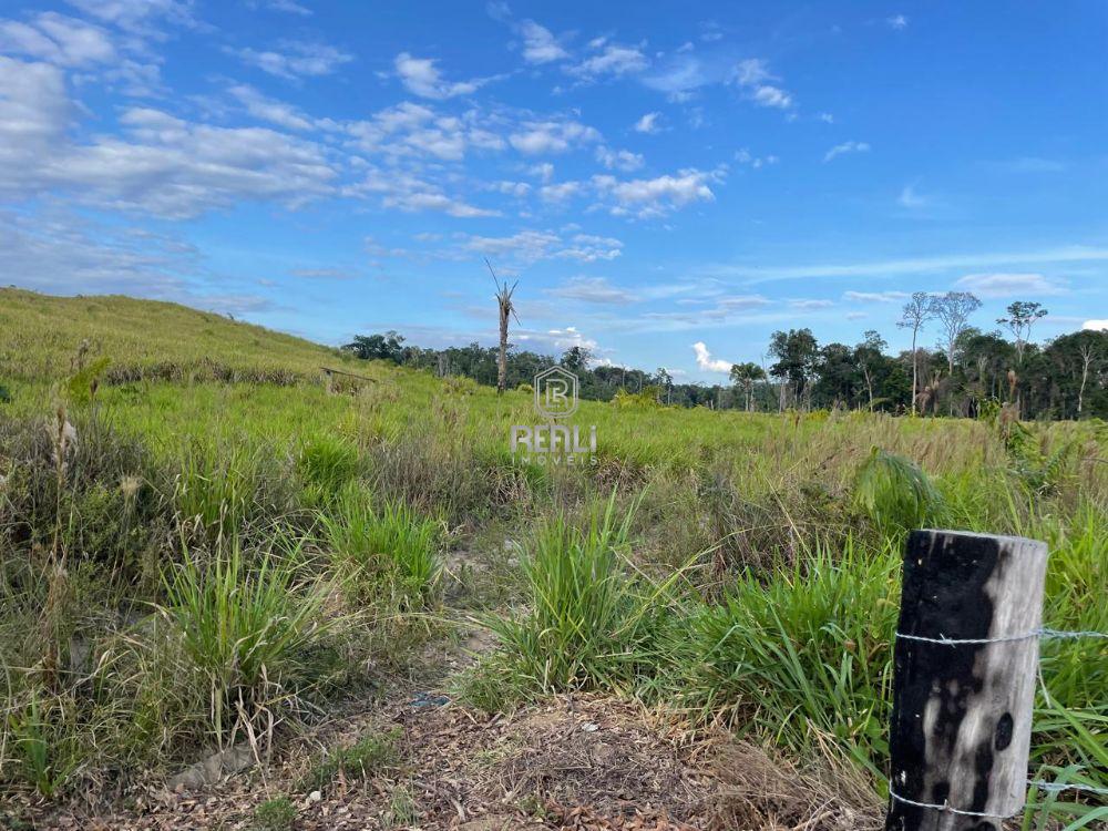 Fazenda em Roraima de 520 hectares