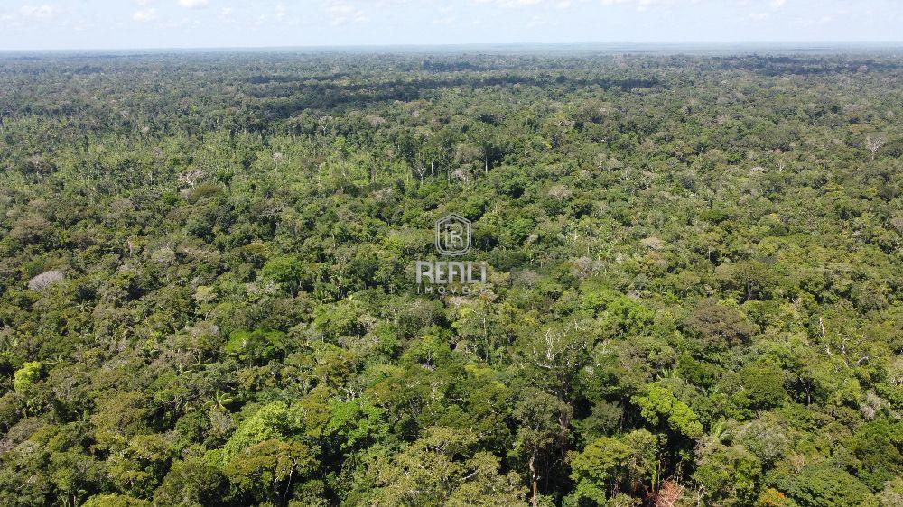 Fazenda em Roraima a venda 1456 hectares