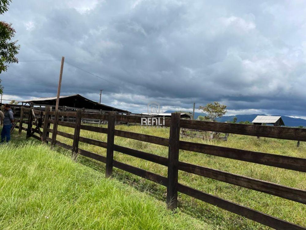 Fazenda em Roraima de 800 hectares