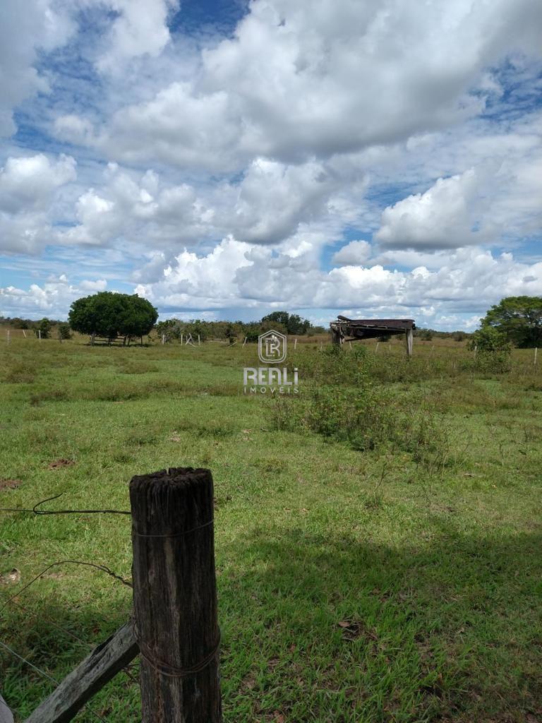 Fazenda em Roraima de 3243 hectares