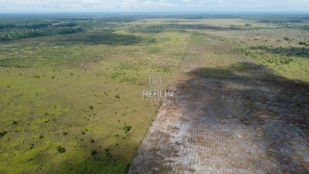 Fazenda em Roraima 621 hectares