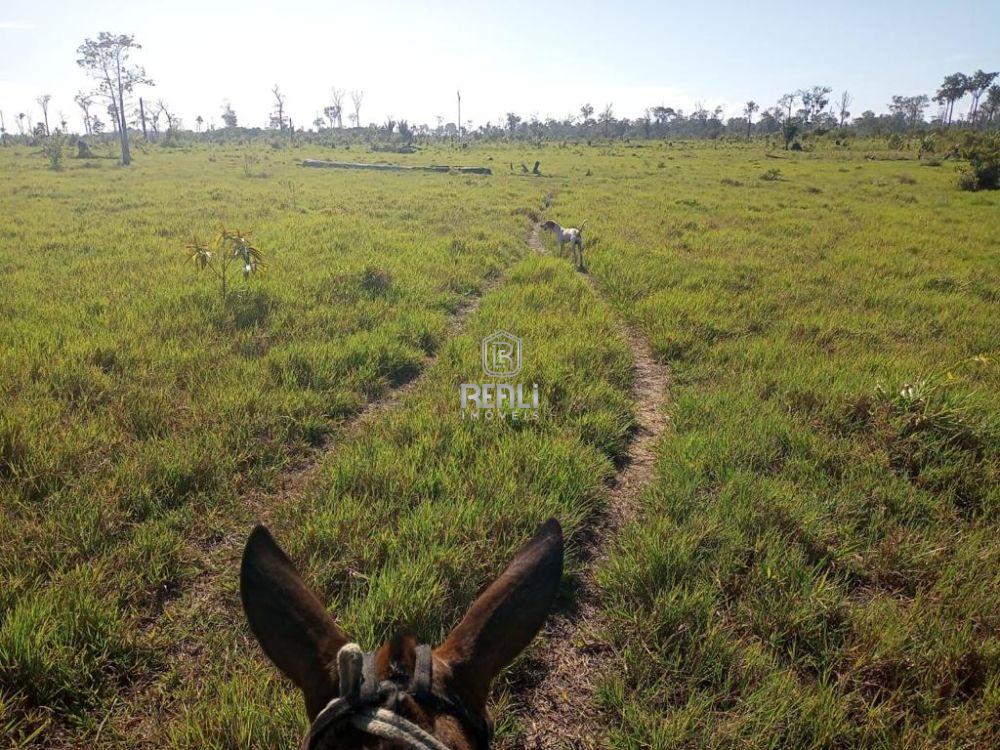 Fazenda em Roraima de 4570 hectares