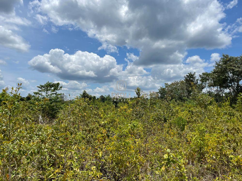 Fazenda em Roraima de 248 hectares na BR