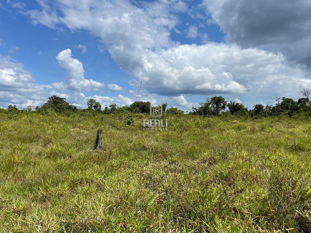 Fazenda em Roraima de 460 hectares