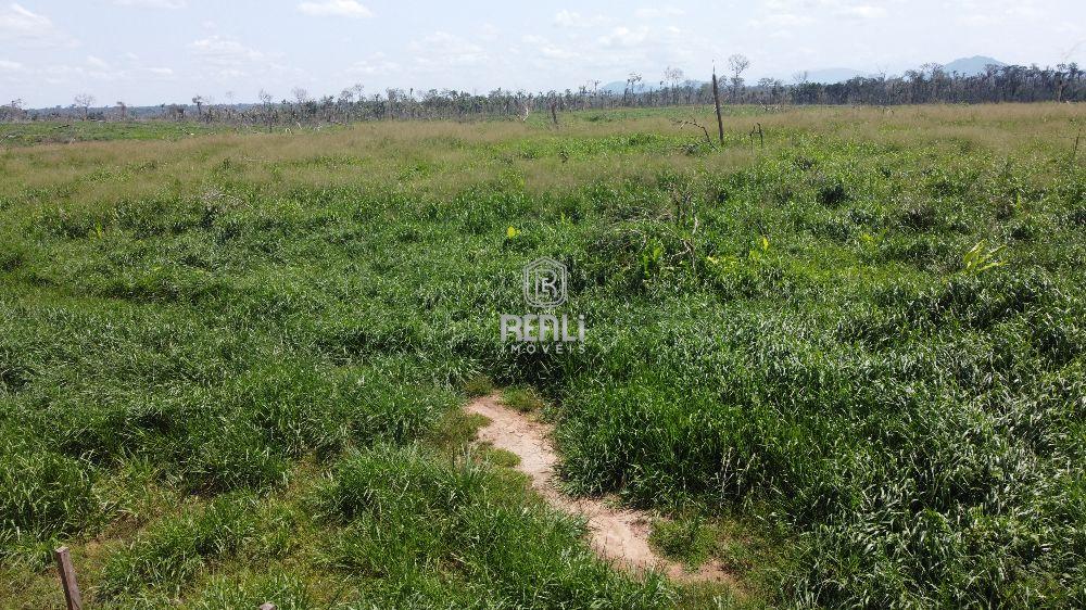 Fazenda em Roraima de 4874 hectares