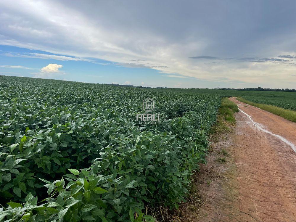 Fazenda 340 hectares