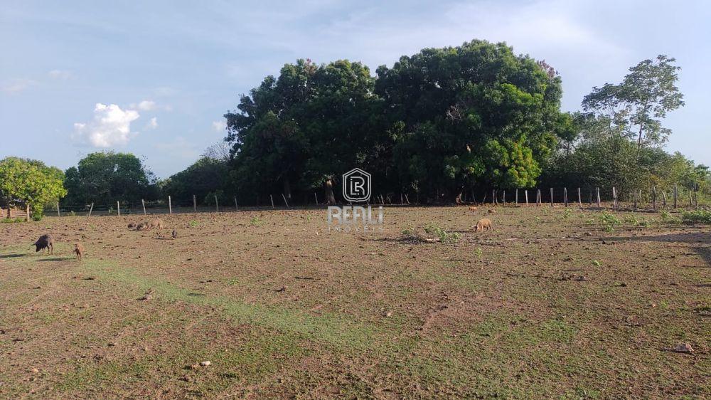 Fazenda 1000 Hectares