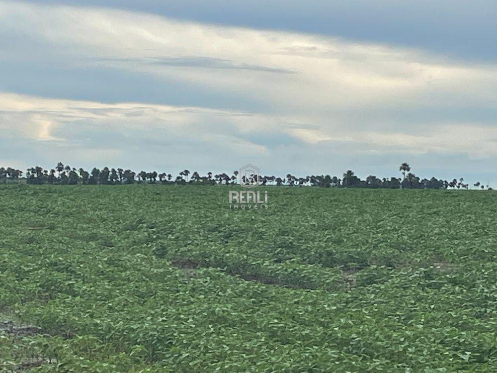 Fazenda 143 Hectares
