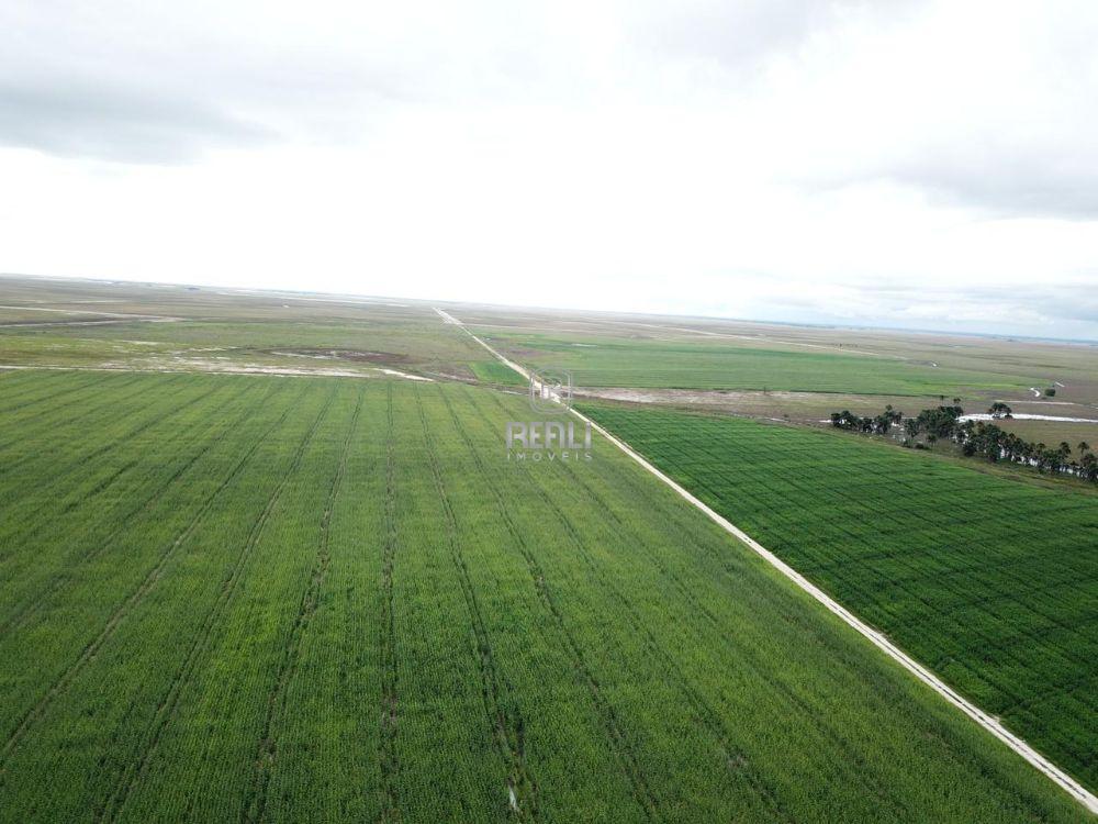 Fazenda 3209 Hectares