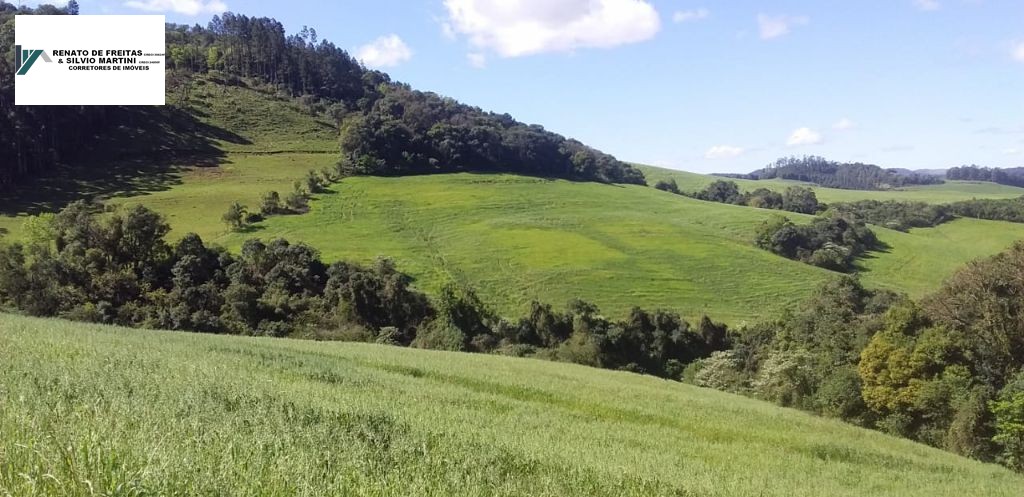 Área de terra à venda