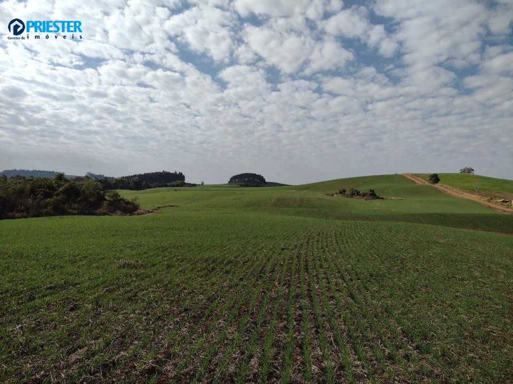 Ótima terra para plantio somente 30 km de Francisco Beltrão