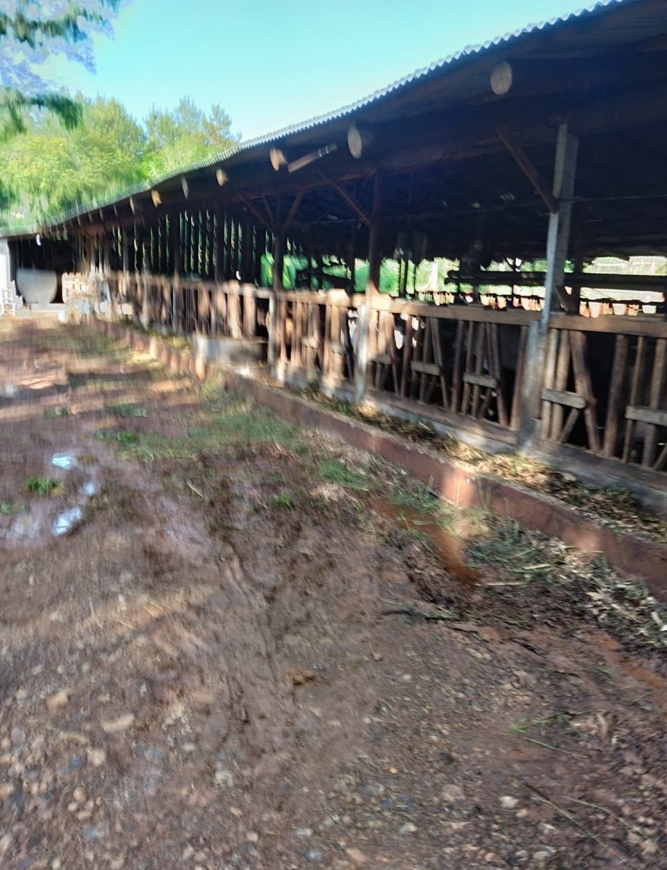 Vende-se Sitio localizado na Linha Santa Inês Nova Prata
