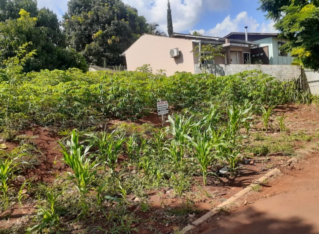 Vende-se lote Localizado no bairro Cooperativa
