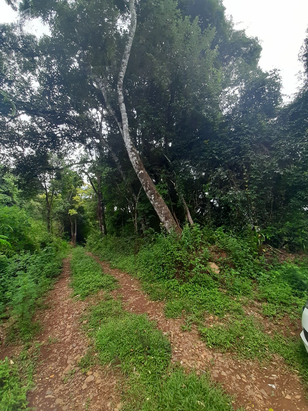 Terreno no Boqueiro com vista para o Vale do Jordo.