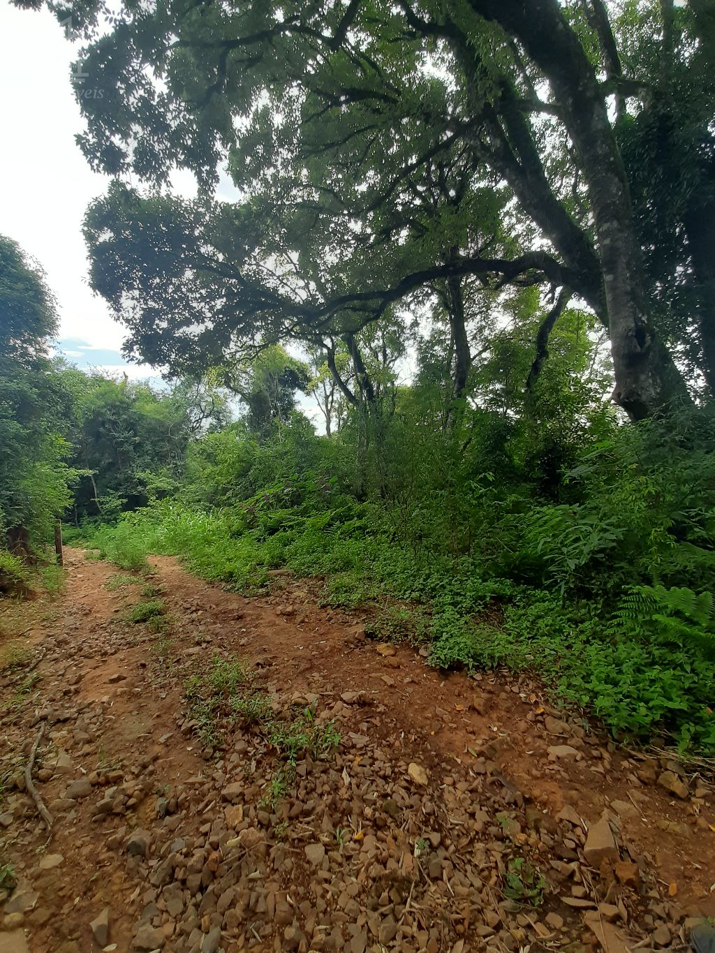 JKa Imveis Em Guarapuava - PR