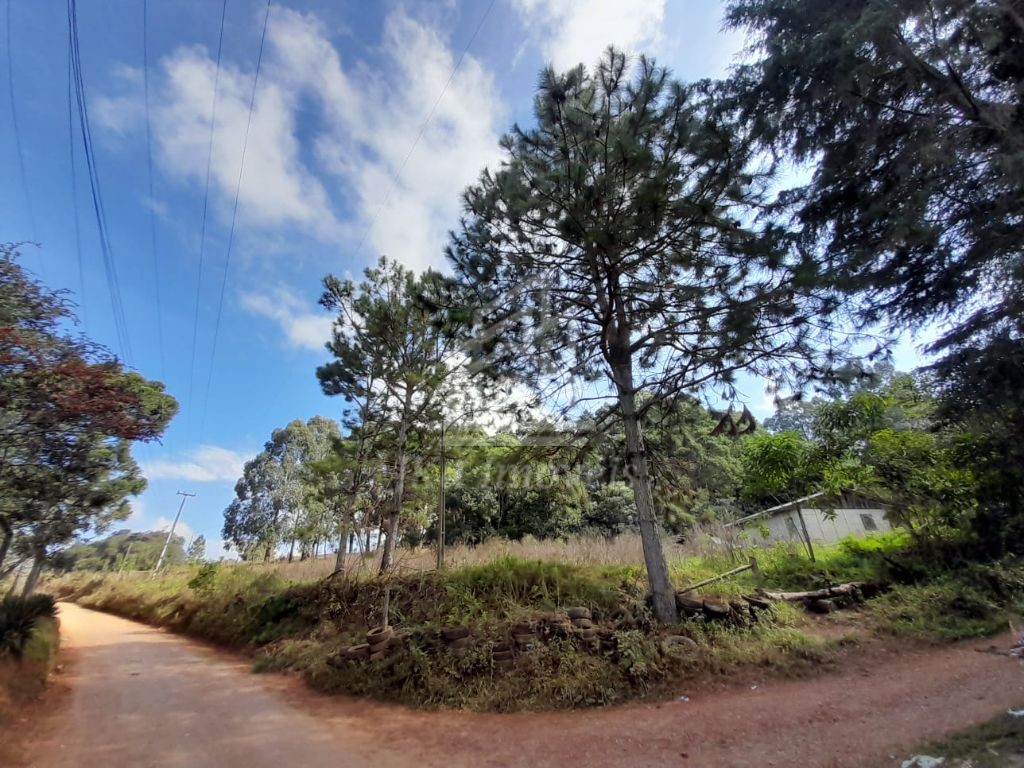 Excelente terreno no Morro Alto
