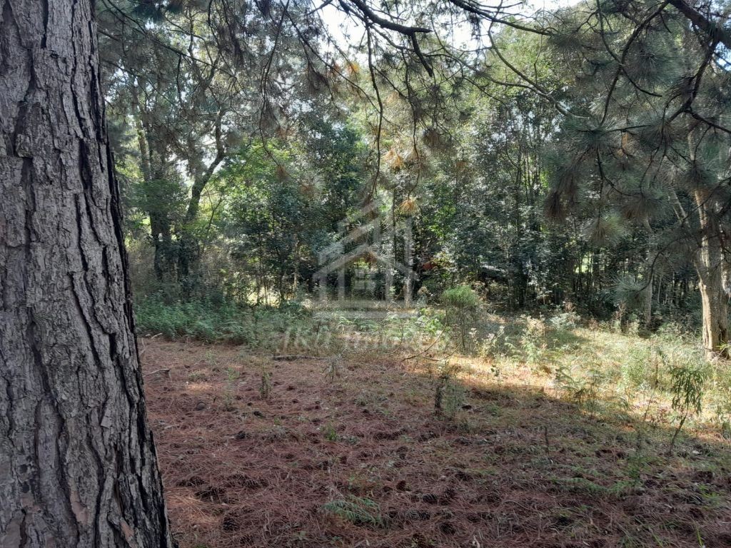 JKa Imveis Em Guarapuava - PR