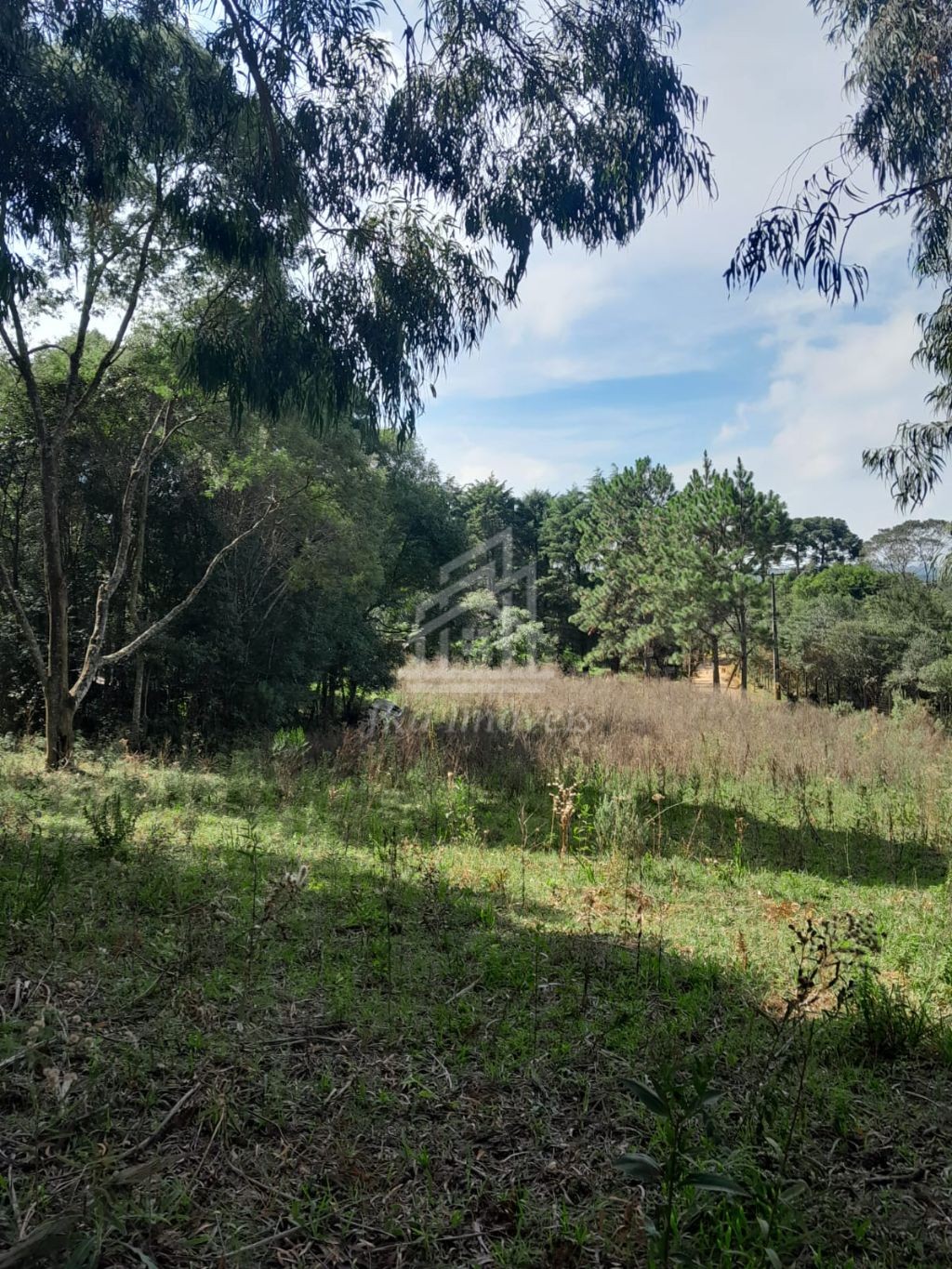 JKa Imveis Em Guarapuava - PR