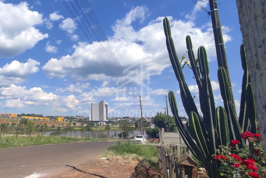 TERRENO EM TIMA LOCALIZAO NO FEROZ II