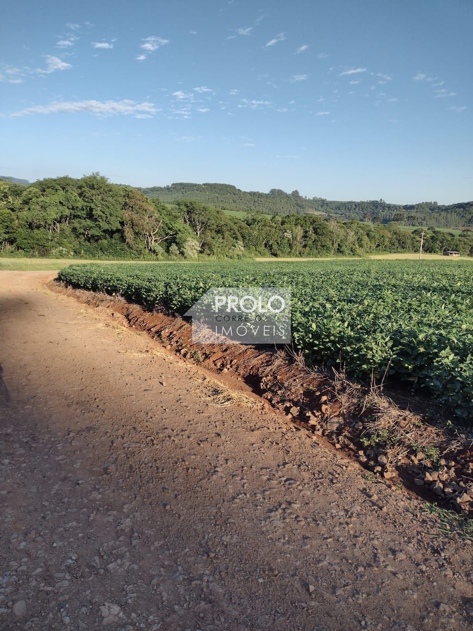 Prolo Imveis em Francisco Beltro