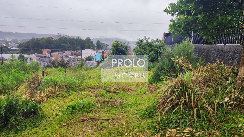 LOTE PLANO 360M, NO LOTEAMENTO PINHEIROS. 