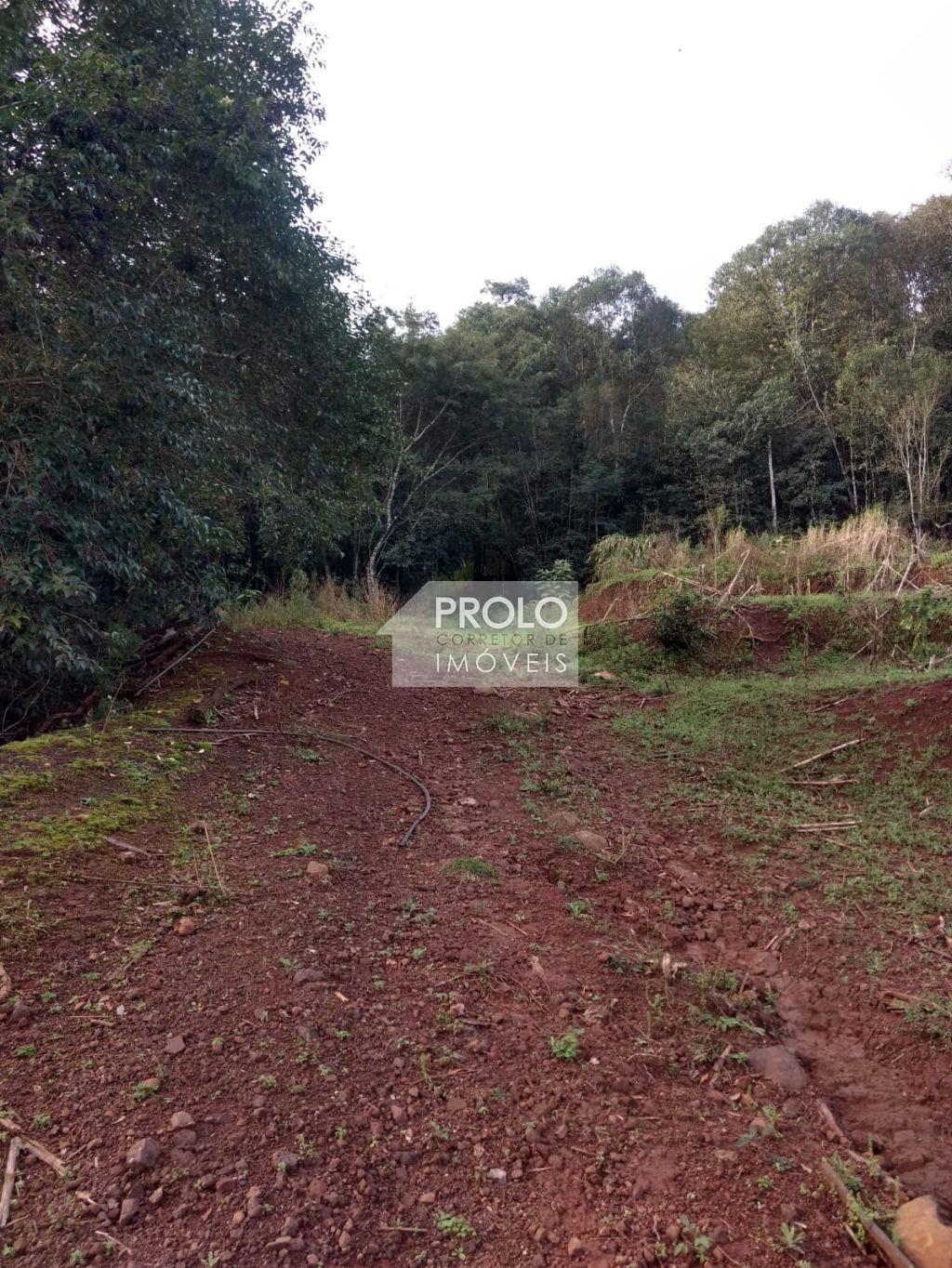 Prolo Imveis em Francisco Beltro