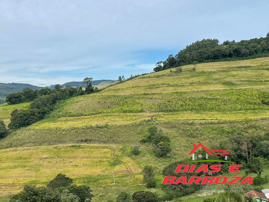 Dias e Barboza Corretores de Imveis em Ampre PR