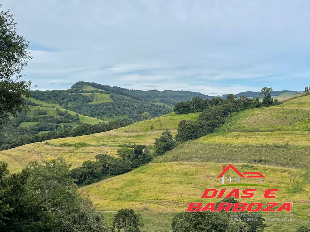 Dias e Barboza Corretores de Imveis em Ampre PR