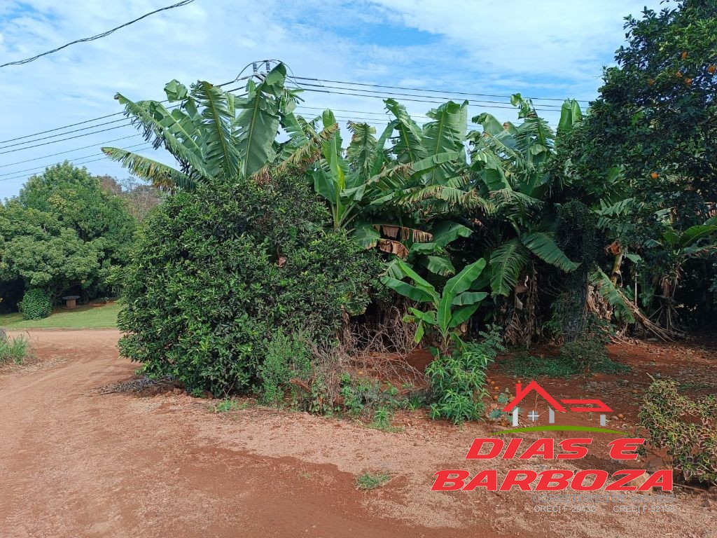 Dias e Barboza Corretores de Imveis em Ampre PR