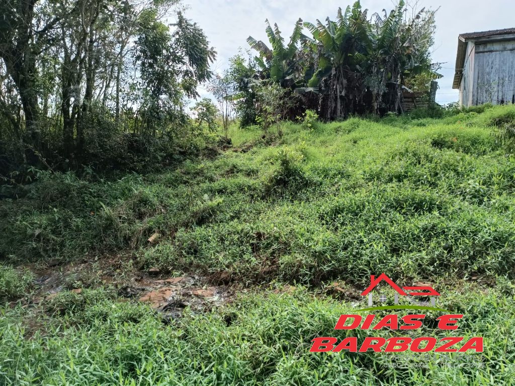 Dias e Barboza Corretores de Imveis em Ampre PR