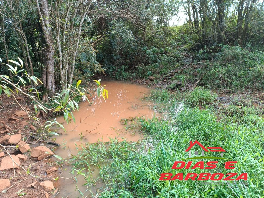 Dias e Barboza Corretores de Imveis em Ampre PR